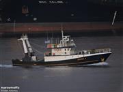 Στη Μαρτινίκα έδεσε το πλοίο με τους τέσσερις τόνους κοκαΐνης - Στον εισαγγελέα Πειραιά ο «Έλληνας Εσκομπάρ»