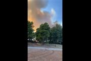 Φωτιά τώρα στα Μέγαρα: Ενισχύθηκαν οι δυνάμεις και επιχειρούν 8 εναέρια μέσα