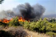 Τραγωδία μετά από φωτιά στο Πικέρμι Αττικής: Εντοπίστηκε απανθρακωμένη σωρός σε καμένο αυτοκίνητο