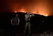 Διπλό πύρινο μέτωπο στη Βοιωτία: Ολονύχτια μάχη σε Πόρτο Γερμενό και Δομβραίνα