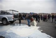 Οργισμένοι κτηνοτρόφοι απέκλεισαν το λιμάνι της Μυτιλήνης εξαιτίας του αφθώδους πυρετoύ - Έριξαν γάλα