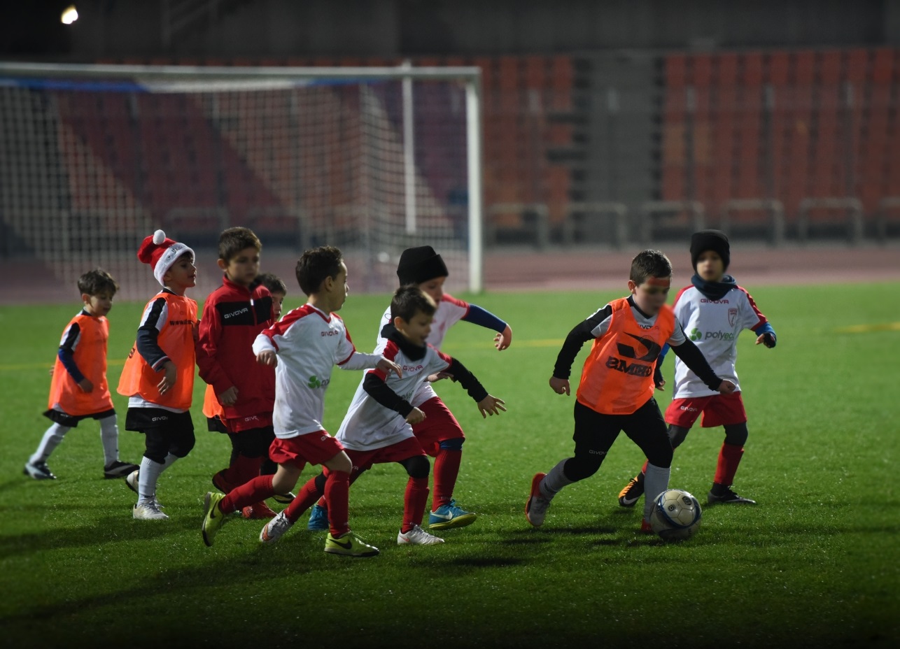 foto_michalopoulos_costas_903_resized_20181222_123518848.jpg foto_michalopoulos_costas_903_resized_20181222_123518848.jpg