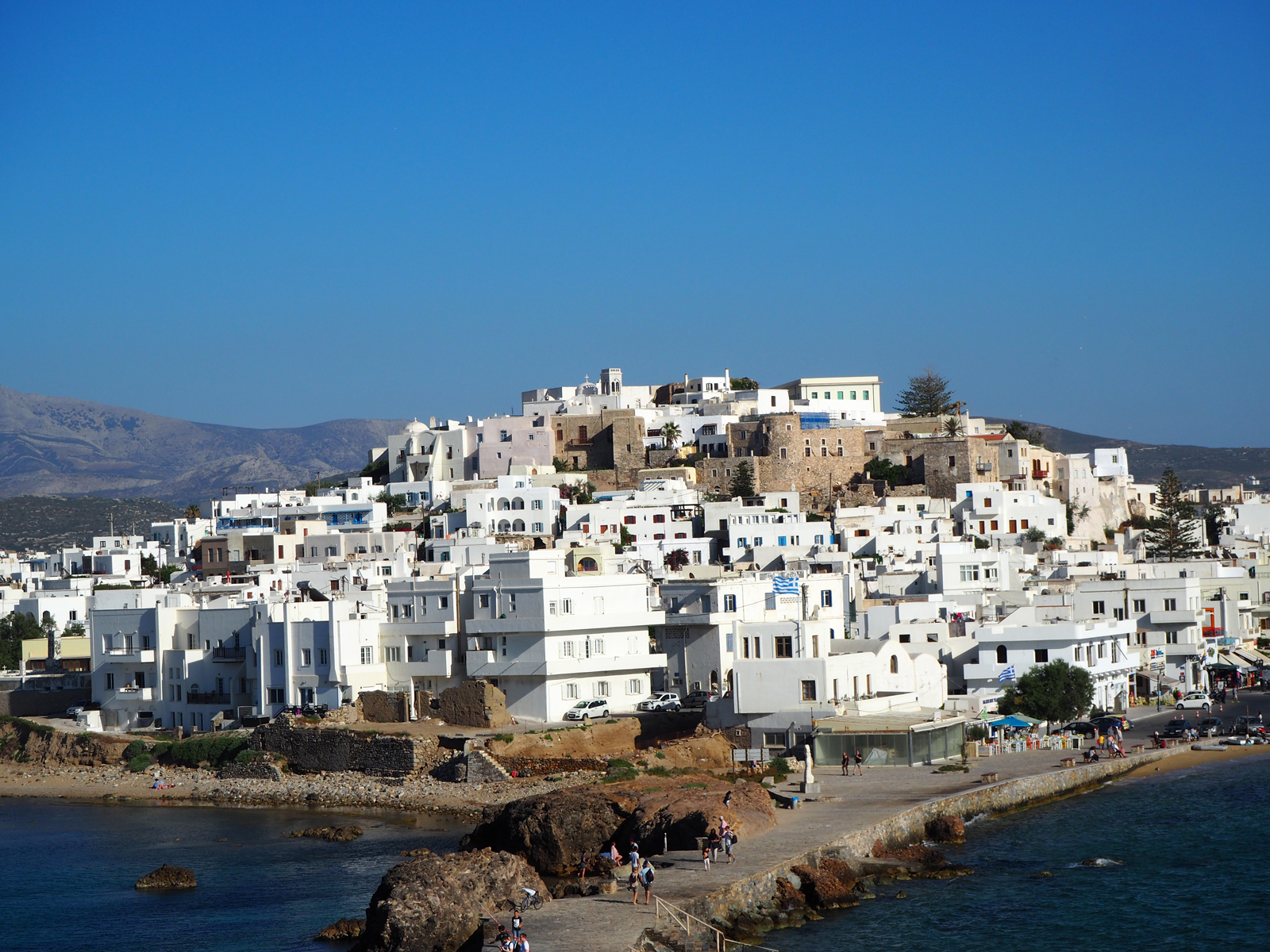 p6020847_naxos.jpg