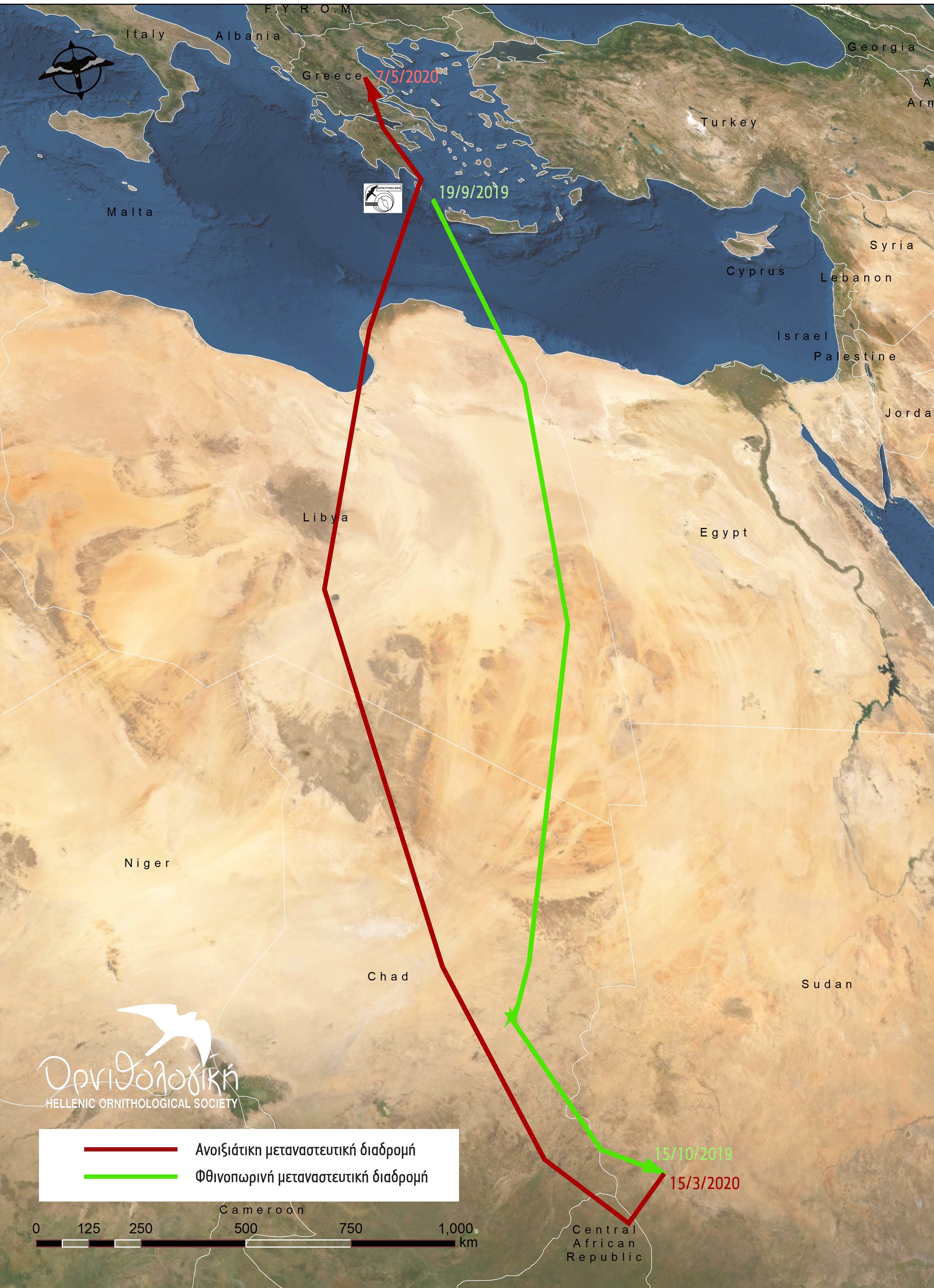 trygoni4.jpg trygoni4.jpg