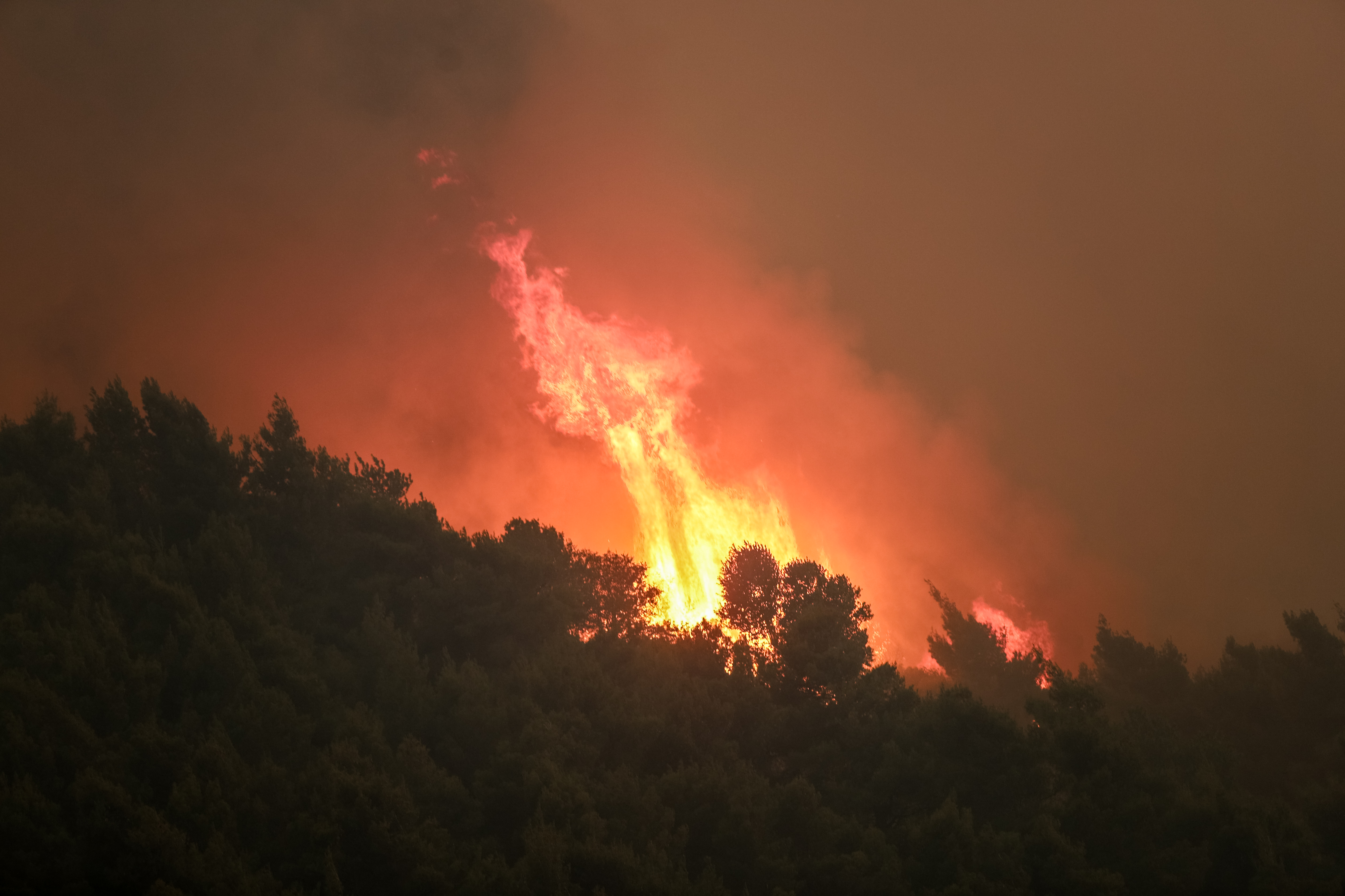 φωτιά στο Σχίνο Κορινθίας