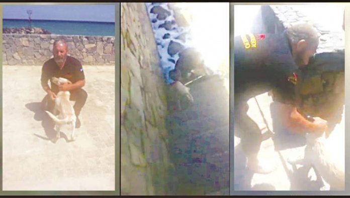 skili2.jpg skili2.jpg