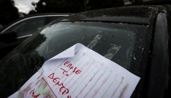 πτώση δέντρου