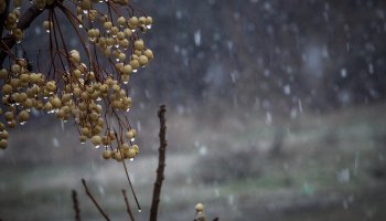 Κακοκαιρία Ωκεανίς
