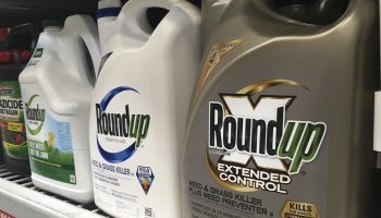Roundup