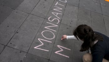 Η Monsanto φακέλωνε πολιτικού και δημοσιογράφους