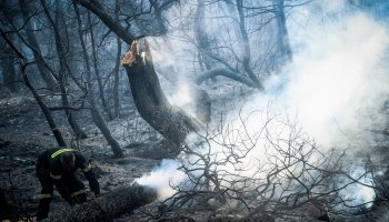Φωτιά στην Εύβοια