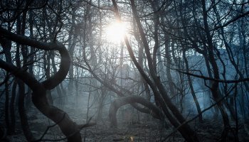 Φωτιά στην Εύβοια