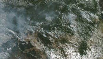 Φωτιά στο δάσος του Αμαζονίου