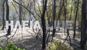 φωτιά, Αρχαία Ολυμπία