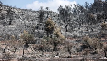 φωτιά, Εύβοια