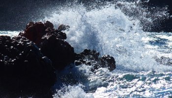 Θυυελλώδεις άνεμοι