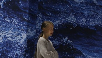 Γκρέτα Τούνμπεργκ