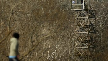 Συνοριοφύλακες στον Έβρο