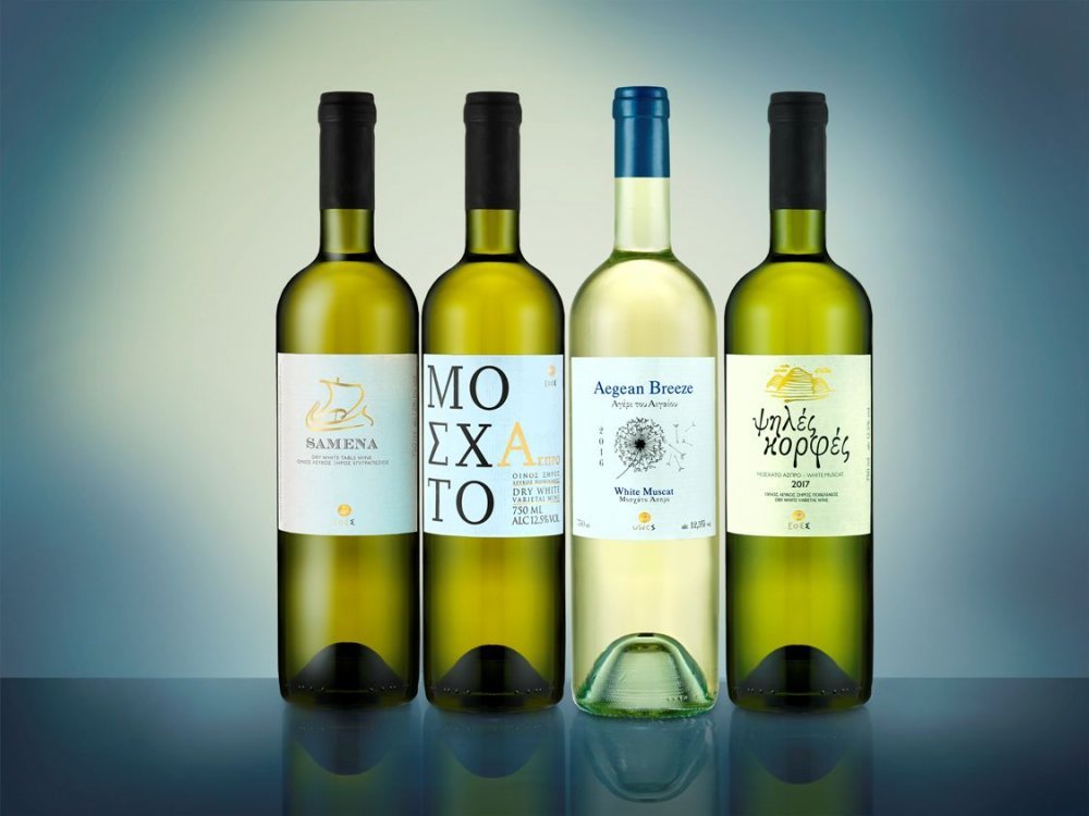 dry_wines_only_2.jpg dry_wines_only_2.jpg