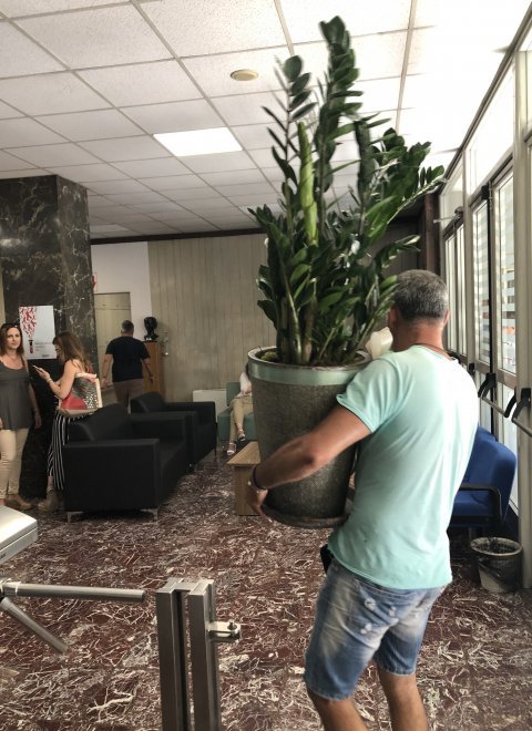 anthi-igeias1.jpg anthi-igeias1.jpg